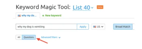 Semrush Keyword Magic Tool