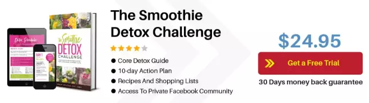 The Smoothie Detox Challenge Bonuses