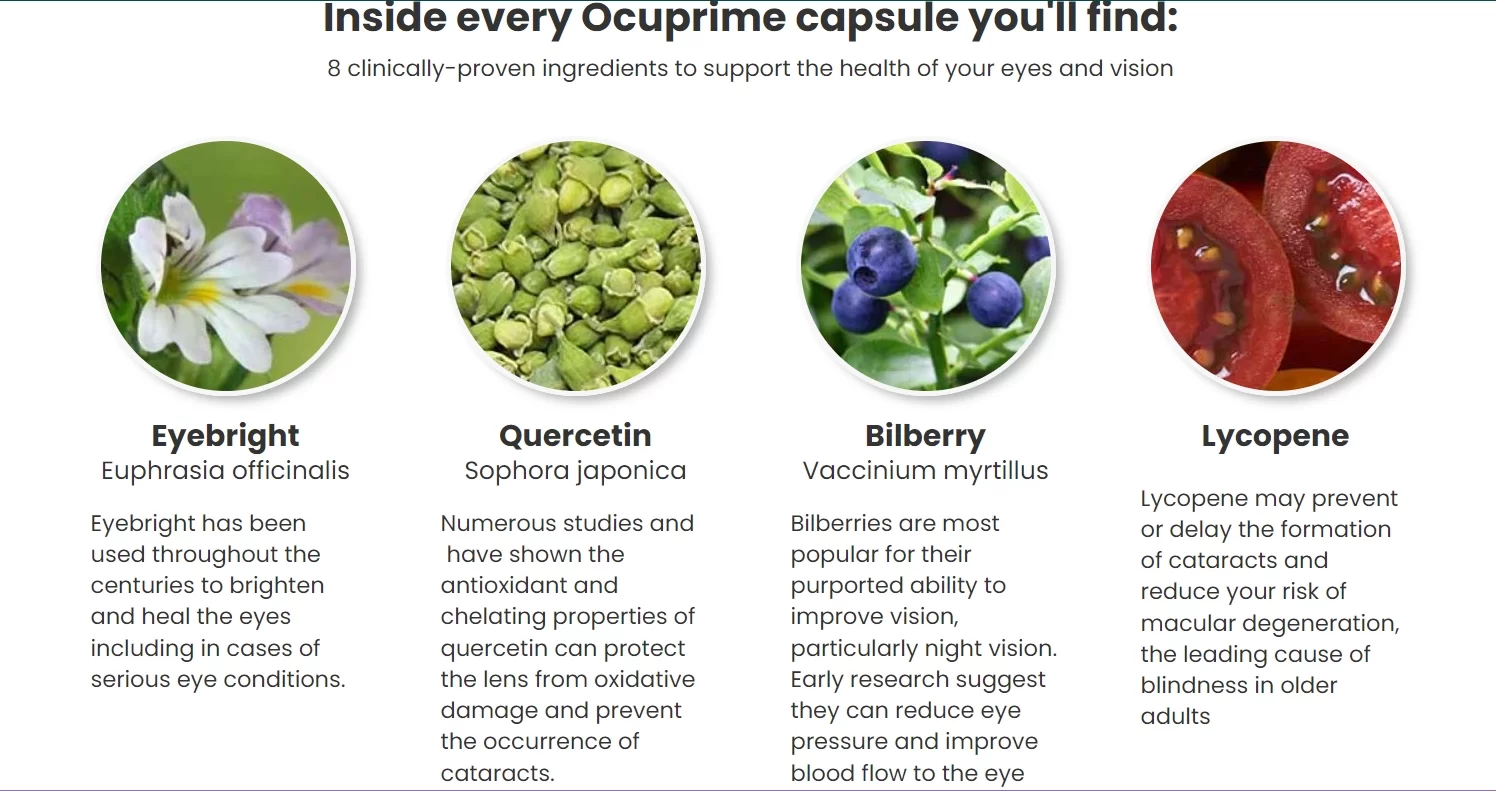 Ocuprime-Ingredients