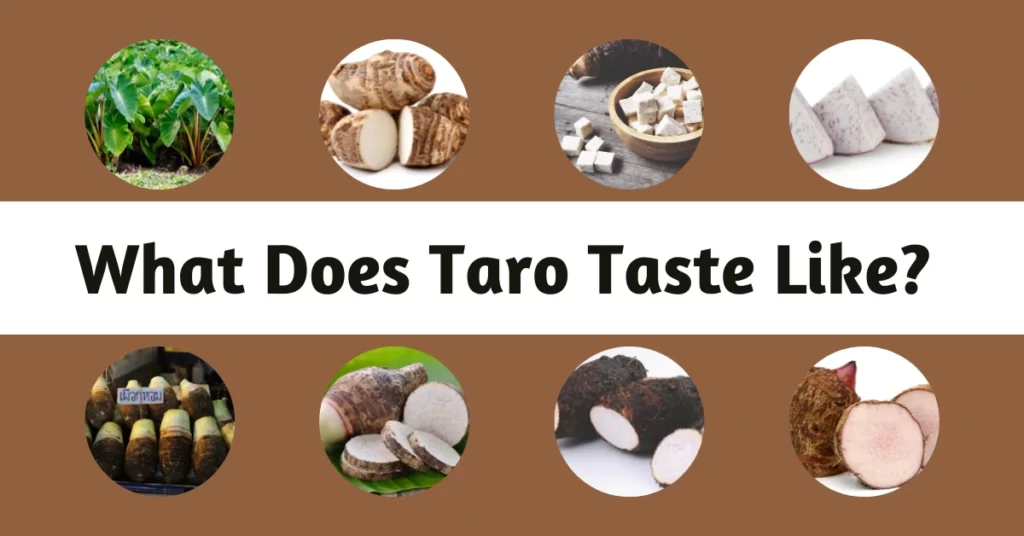 what_does_taro_taste_like