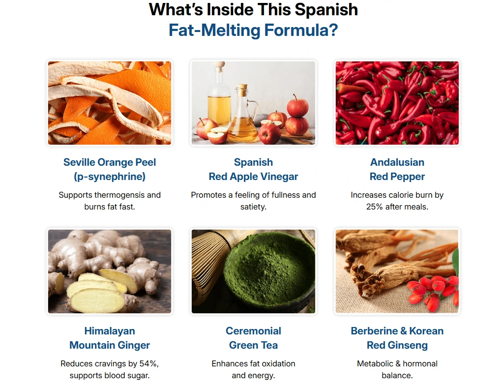 CitrusBurn-Ingredients