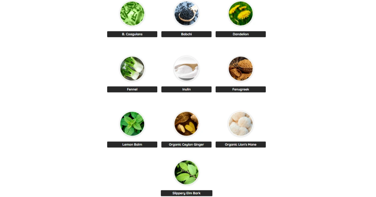 Prime-Biome-Ingredients