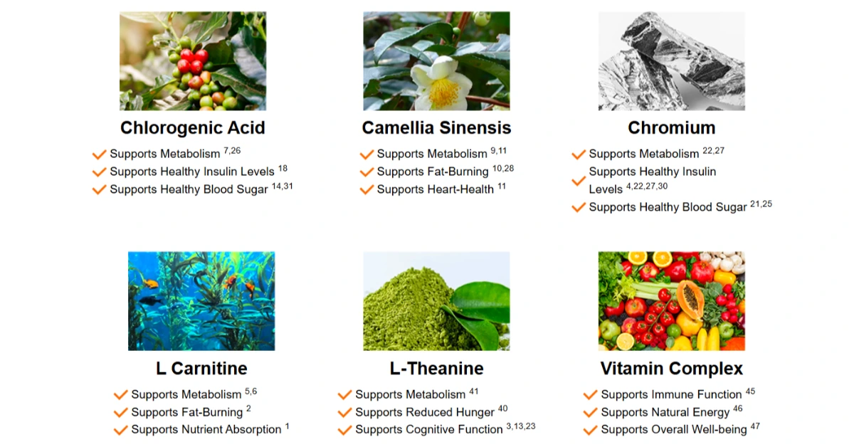Java-Burn-Ingredients