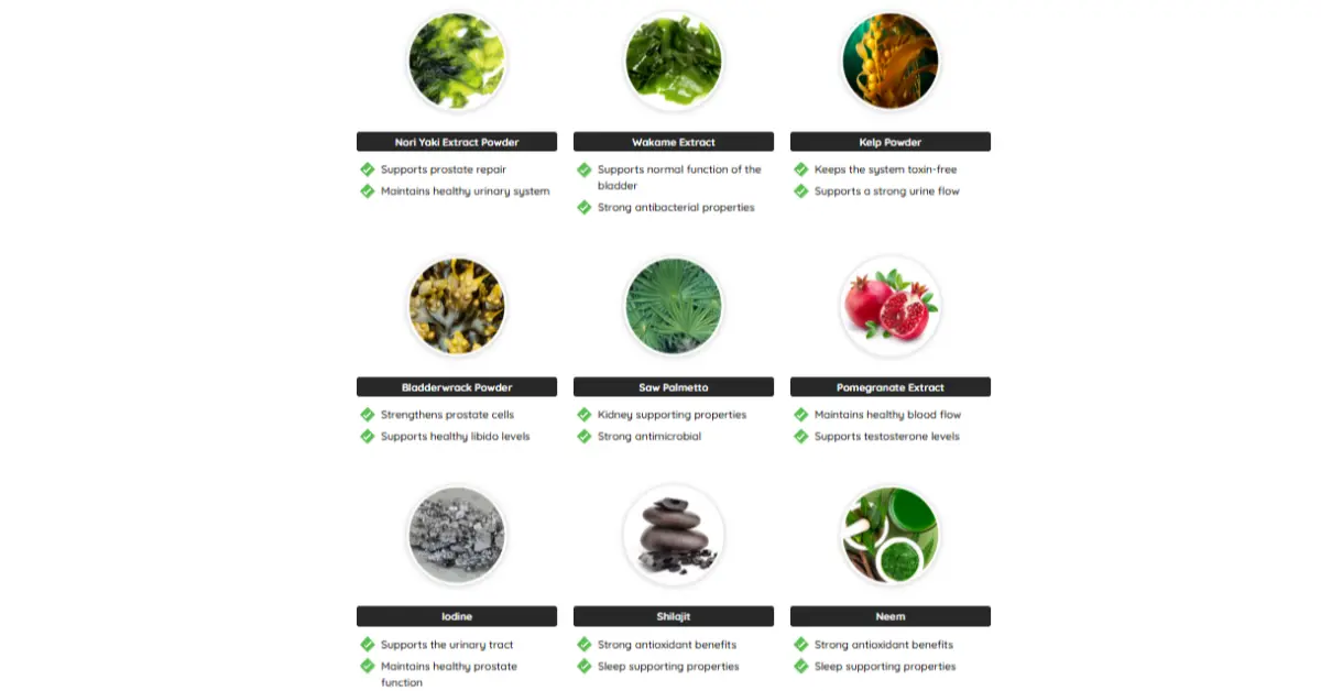 Prostadine-Ingredients