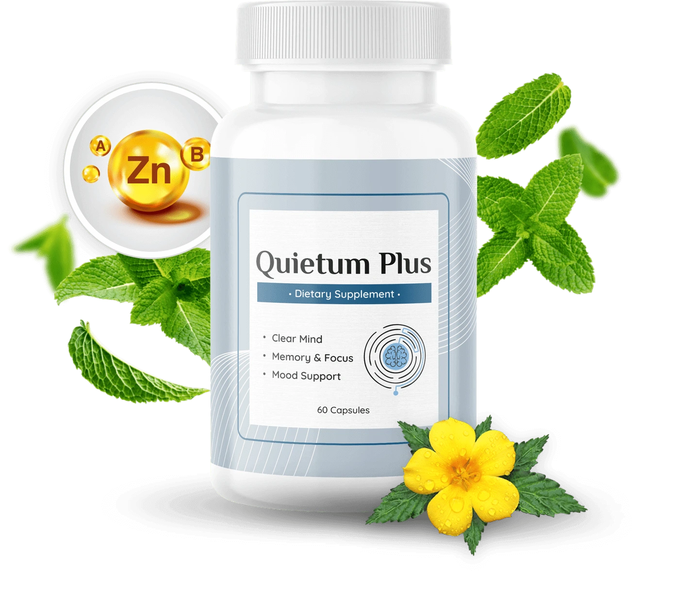 Quietum-Plus-Reviews